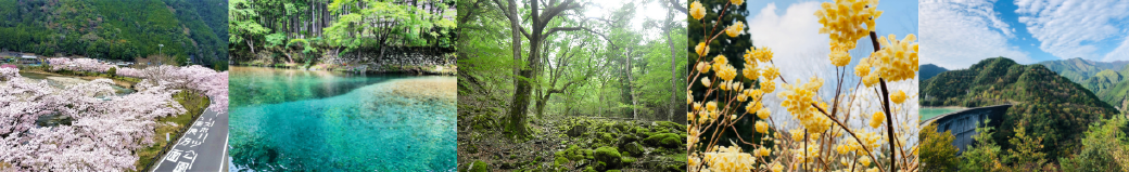 奈良県下北山村