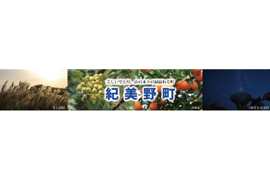 紀美野町ってどんなところ?拡大画像