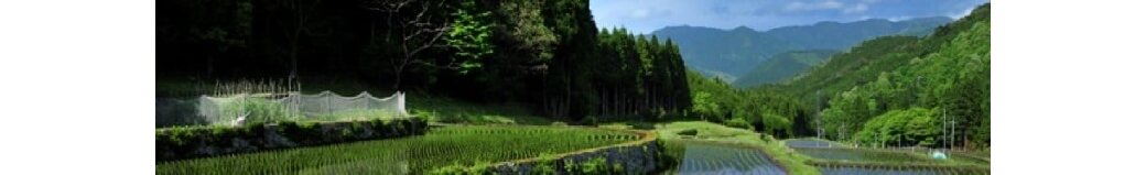 鳥取県智頭町