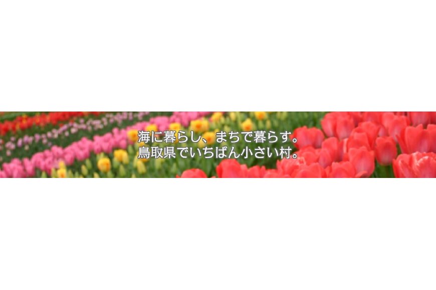 日吉津村ってどんなところ？拡大画像