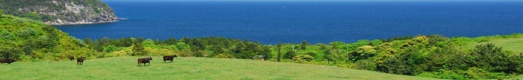 島根県隠岐の島町