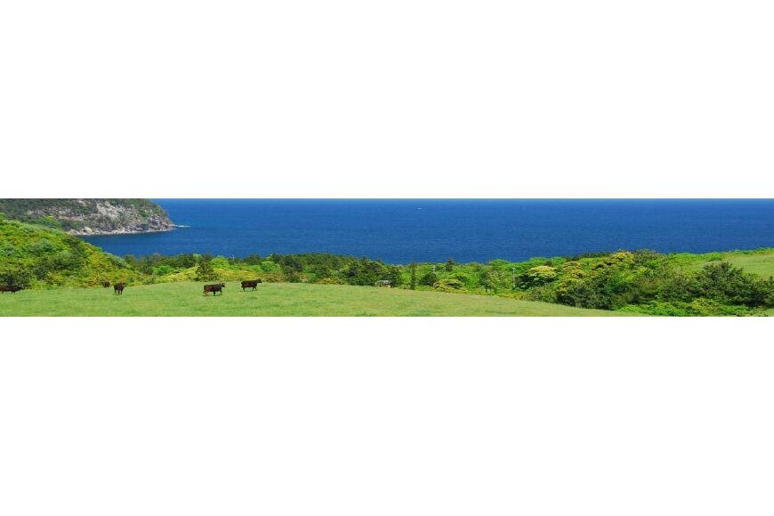 隠岐の島町ってどんなところ?拡大画像