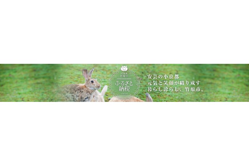 竹原市ってどんなところ？拡大画像