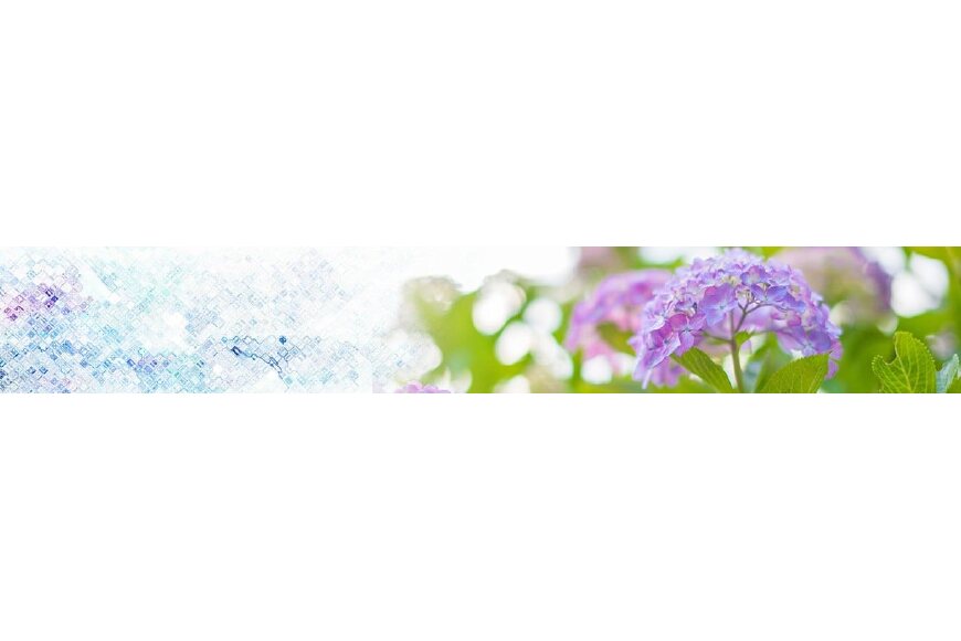 府中市ってどんなところ？拡大画像