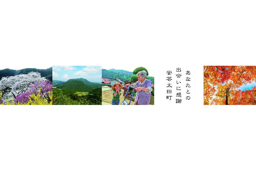 安芸太田町ってどんなところ?拡大画像