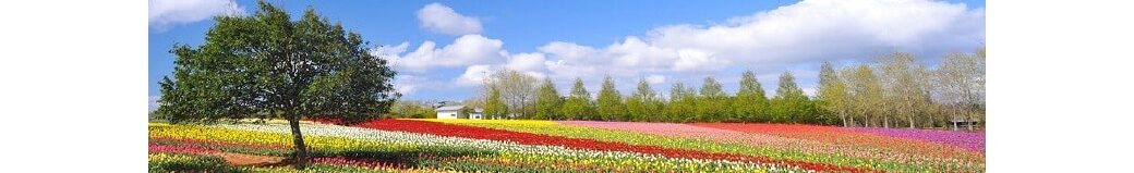 広島県世羅町