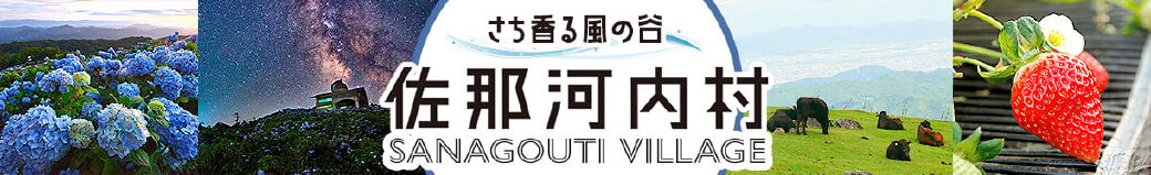 徳島県佐那河内村