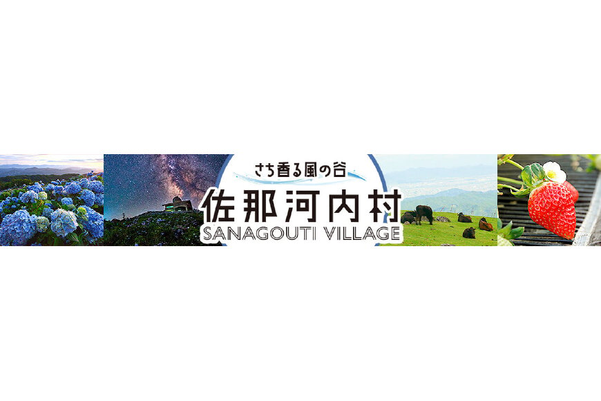 佐那河内村ってどんなところ?拡大画像