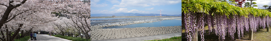 徳島県石井町