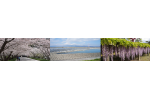 徳島県石井町