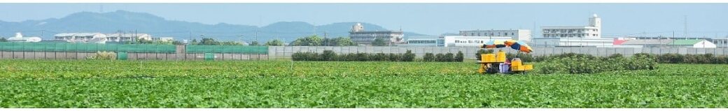 徳島県松茂町
