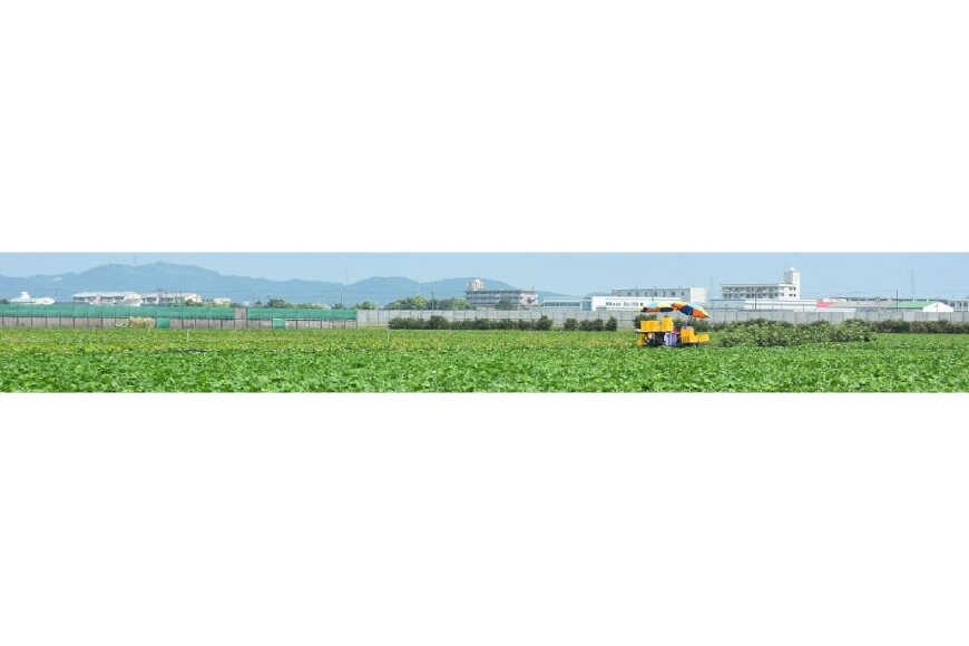 松茂町ってどんなところ?拡大画像