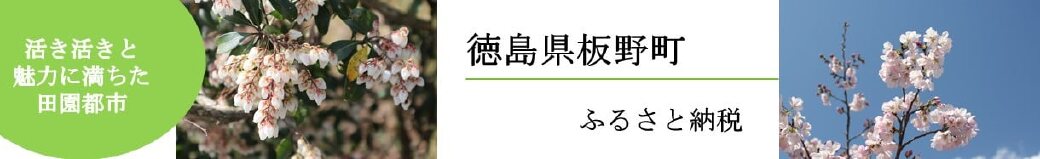 徳島県板野町