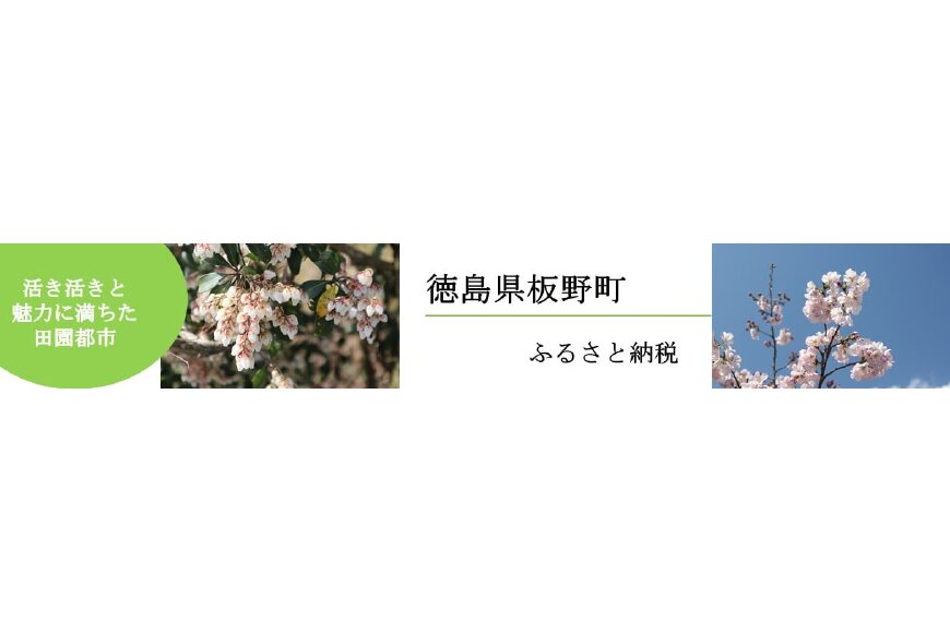 板野町ってどんなところ?拡大画像
