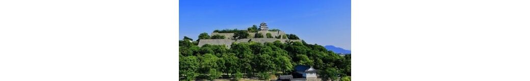 香川県丸亀市
