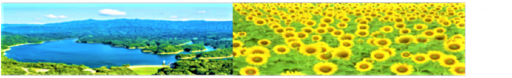 香川県まんのう町