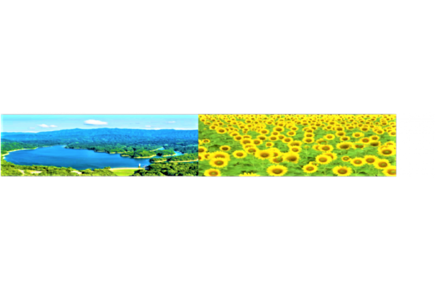 まんのう町ってどんなところ?拡大画像