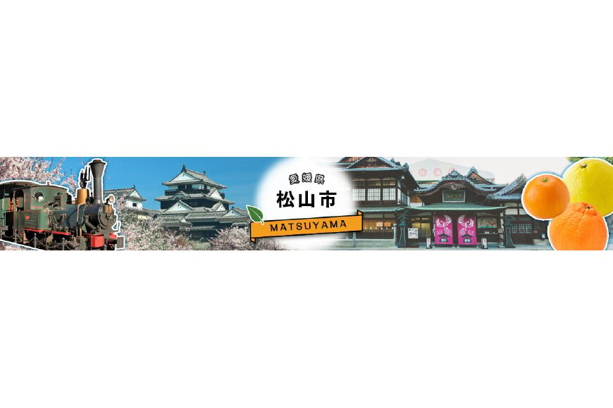 松山市ってどんなところ?拡大画像