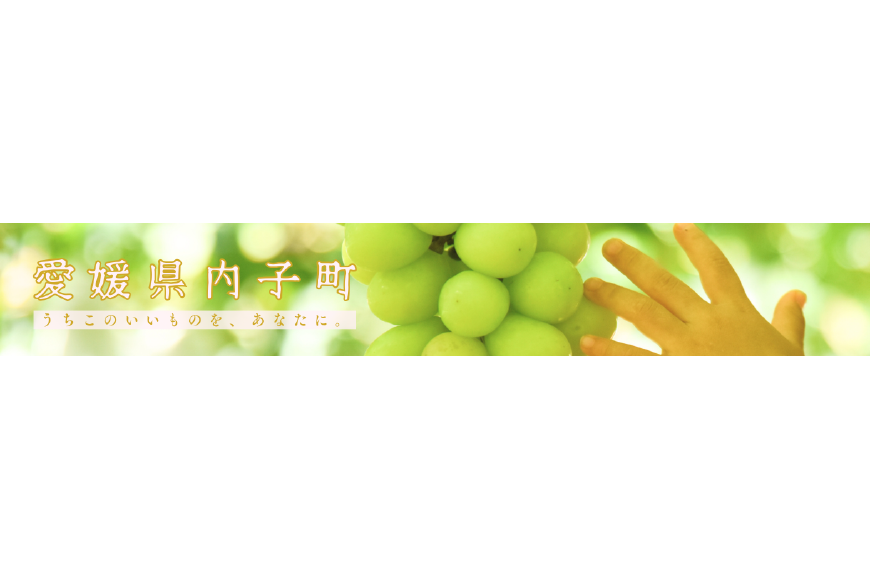 内子町ってどんなところ?拡大画像