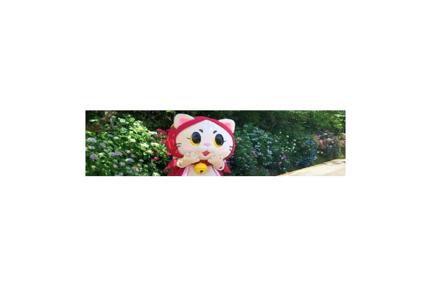 奈半利町ってどんなところ?拡大画像