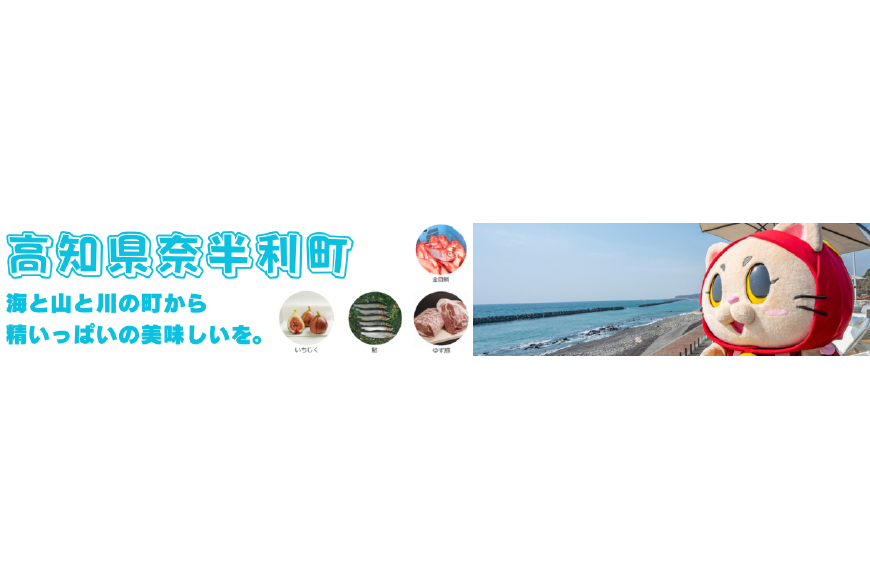 奈半利町ってどんなところ？拡大画像