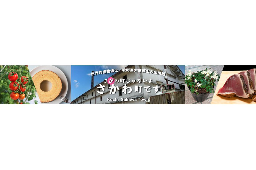 佐川町ってどんなところ?拡大画像