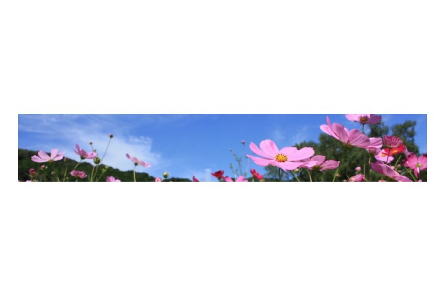 越知町ってどんなところ?拡大画像