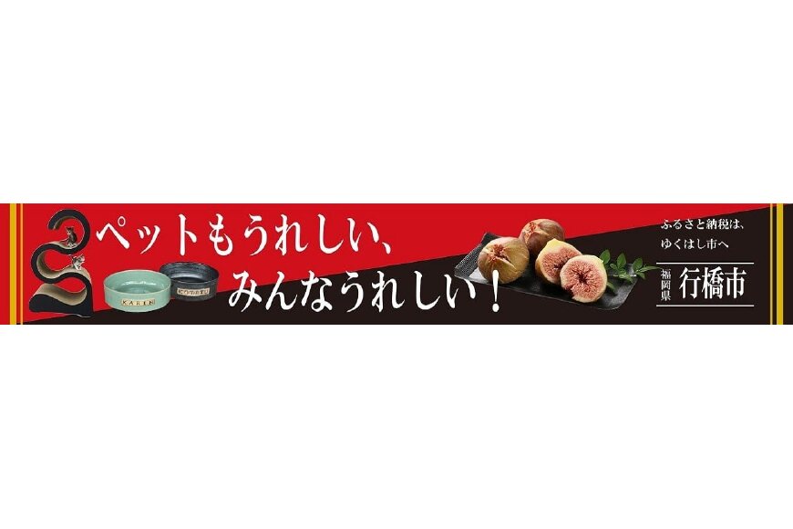 行橋市ってどんなところ?拡大画像