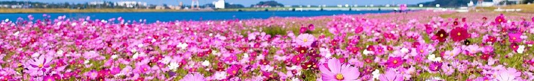 福岡県水巻町
