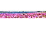 福岡県水巻町