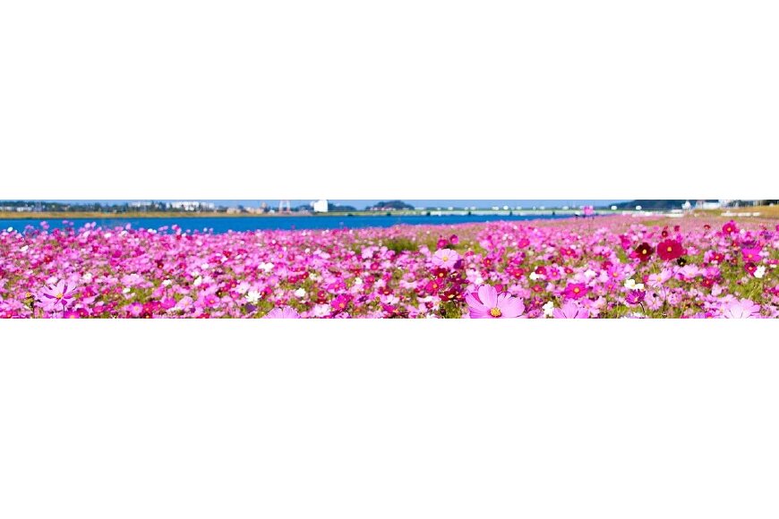 水巻町ってどんなところ?拡大画像