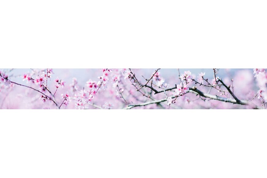 広川町ってどんなところ?拡大画像
