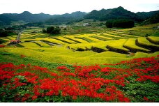 長崎県波佐見町