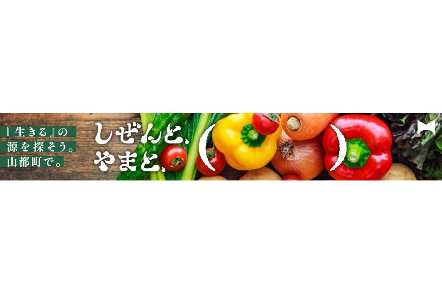 山都町ってどんなところ?拡大画像