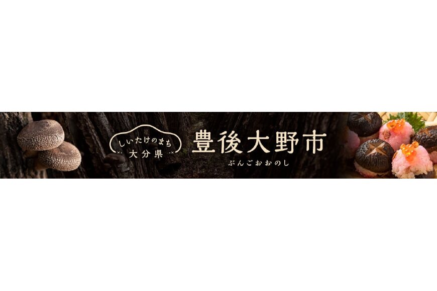 豊後大野市ってどんなところ?拡大画像