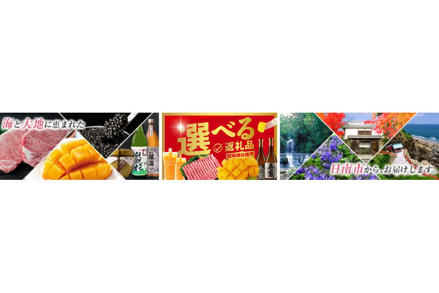 日南市ってどんなところ?拡大画像