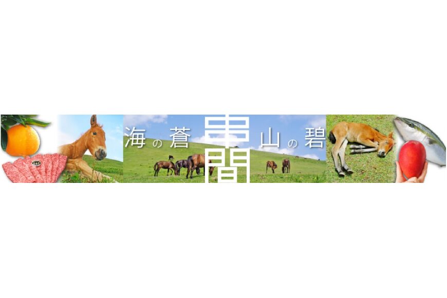 串間市ってどんなところ?拡大画像