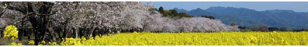 宮崎県西都市