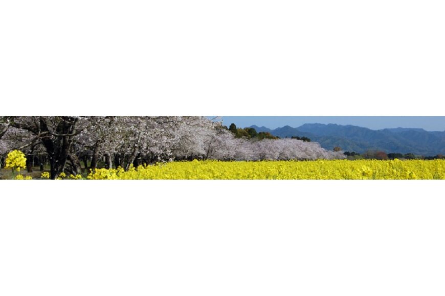 西都市ってどんなところ?拡大画像