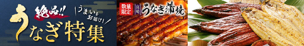 宮崎県新富町