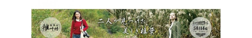 宮崎県椎葉村