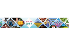 鹿児島県指宿市