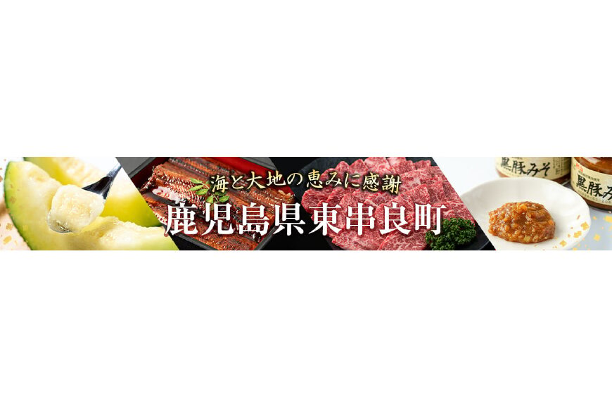 東串良町ってどんなところ?拡大画像