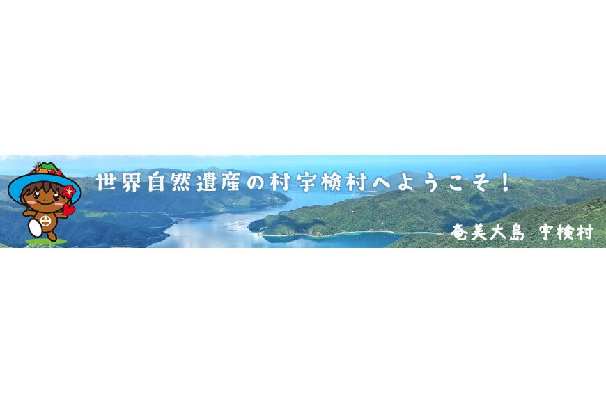 宇検村ってどんなところ?拡大画像