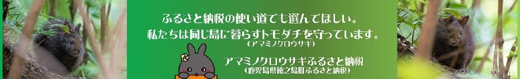 鹿児島県徳之島町
