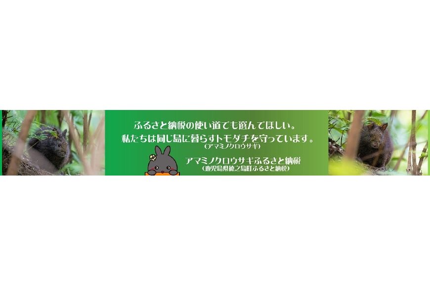 徳之島町ってどんなところ？拡大画像