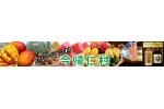 沖縄県今帰仁村