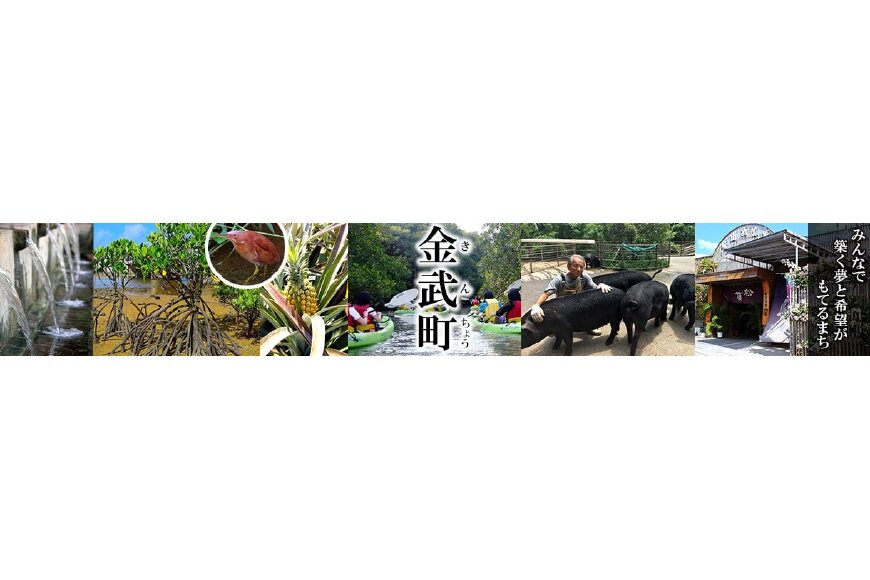 金武町ってどんなところ?拡大画像