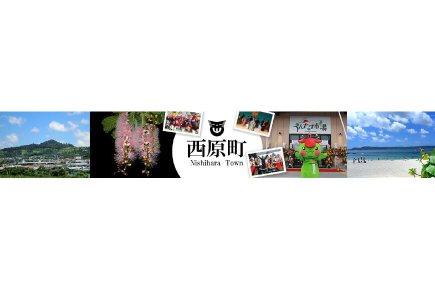 西原町ってどんなところ?拡大画像