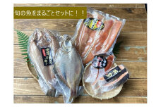 お魚バラエティーセット_HD060-002